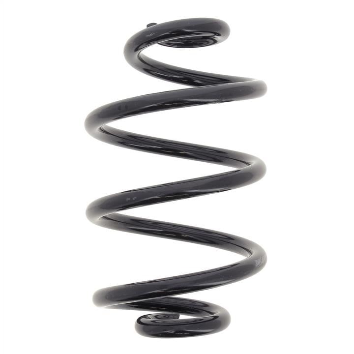 RX5552 KYB (Kayaba) Rear coil spring