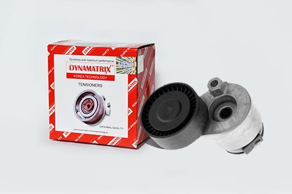 Dynamatrix DT36050 Ролик обводной DT36050: Отличная цена - Купить в Польше на 2407.PL!