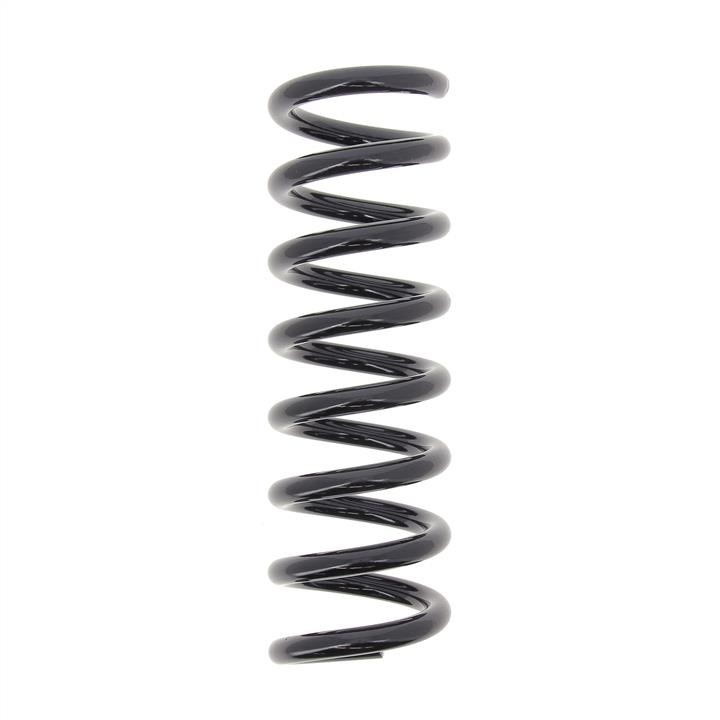 RA6485 KYB (Kayaba) Rear coil spring