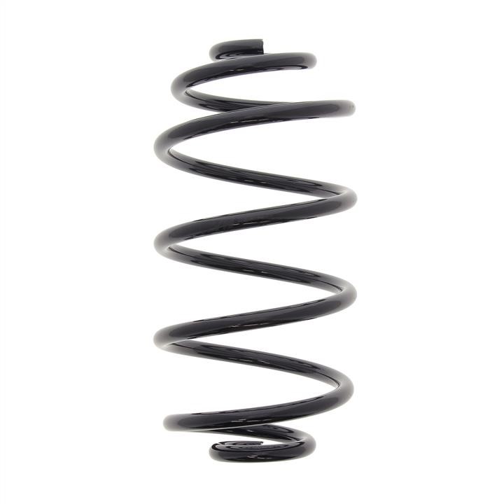 KYB (Kayaba) RX5419 Coil Spring RX5419: Buy near me in Poland at 2407.PL - Good price!