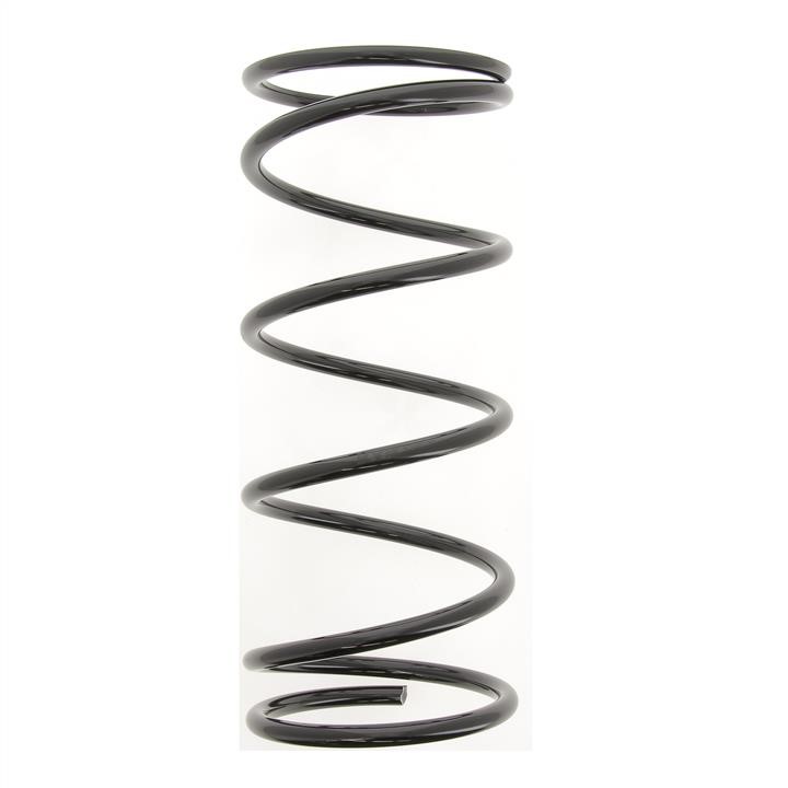 KYB (Kayaba) RD5961 Coil Spring RD5961: Buy near me in Poland at 2407.PL - Good price!