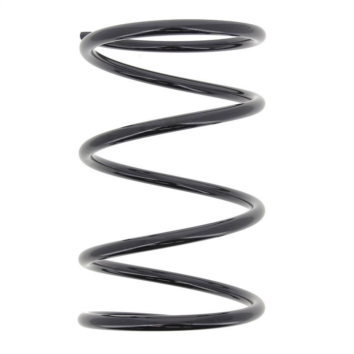 KYB (Kayaba) RD1613 Suspension spring front RD1613: Buy near me in Poland at 2407.PL - Good price!