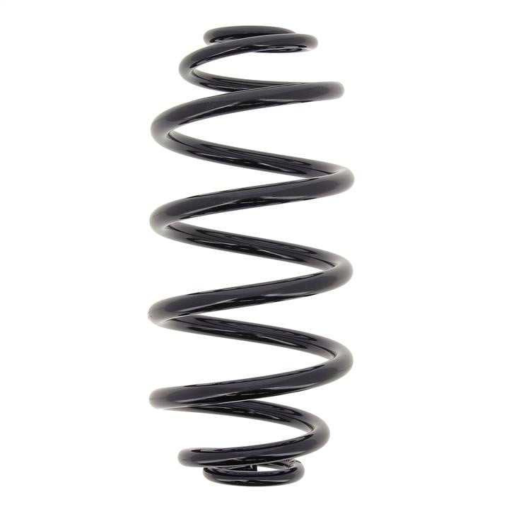 RJ6643 KYB (Kayaba) Rear coil spring