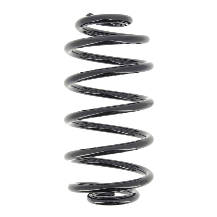 RX6649 KYB (Kayaba) Rear coil spring