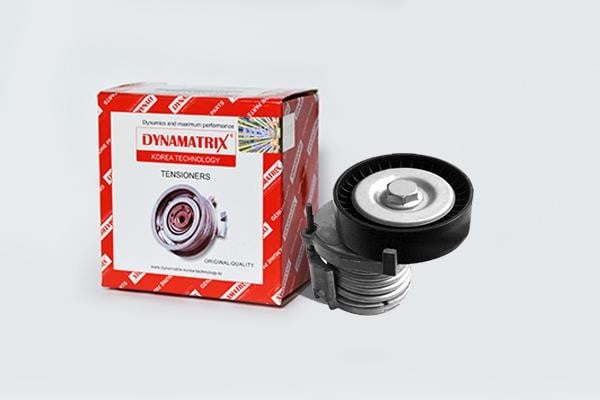 Dynamatrix DT31015 Umlenkrolle DT31015: Kaufen Sie zu einem guten Preis in Polen bei 2407.PL!