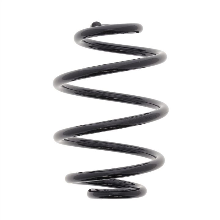 KYB (Kayaba) RX5030 Coil Spring RX5030: Buy near me in Poland at 2407.PL - Good price!