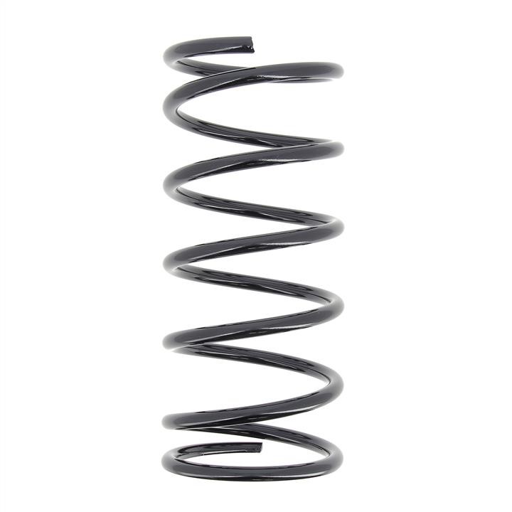 KYB (Kayaba) RB6296 Coil Spring RB6296: Buy near me in Poland at 2407.PL - Good price!