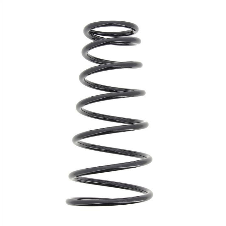RA6992 KYB (Kayaba) Rear coil spring