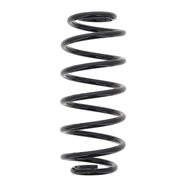 KYB (Kayaba) RH6088 Coil Spring RH6088: Buy near me at 2407.PL in Poland at an Affordable price!