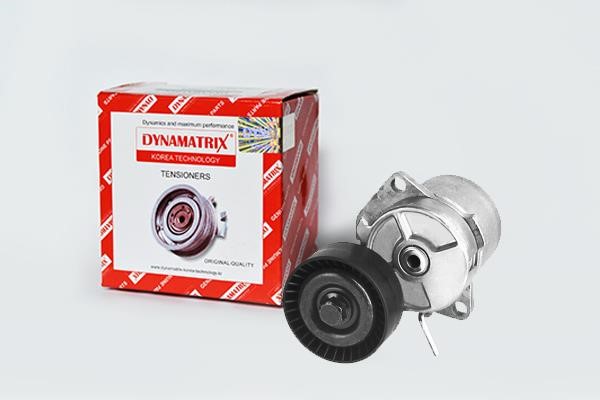 Dynamatrix DT38221 Umlenkrolle DT38221: Kaufen Sie zu einem guten Preis in Polen bei 2407.PL!