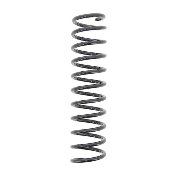 RG5211 KYB (Kayaba) Rear coil spring