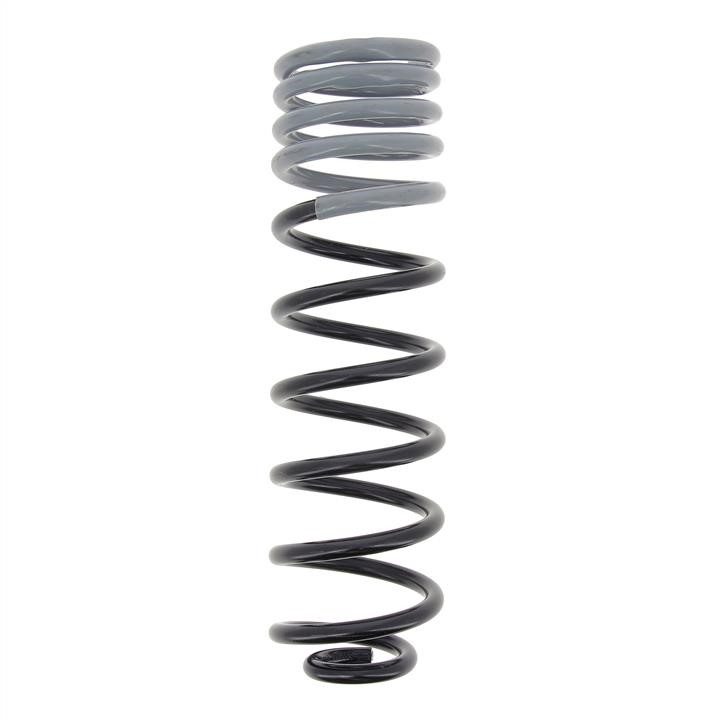 KYB (Kayaba) RC5164 Coil Spring RC5164: Buy near me in Poland at 2407.PL - Good price!