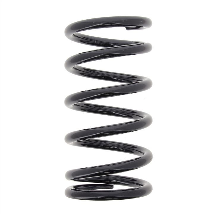 KYB (Kayaba) RD5985 Coil Spring RD5985: Buy near me in Poland at 2407.PL - Good price!