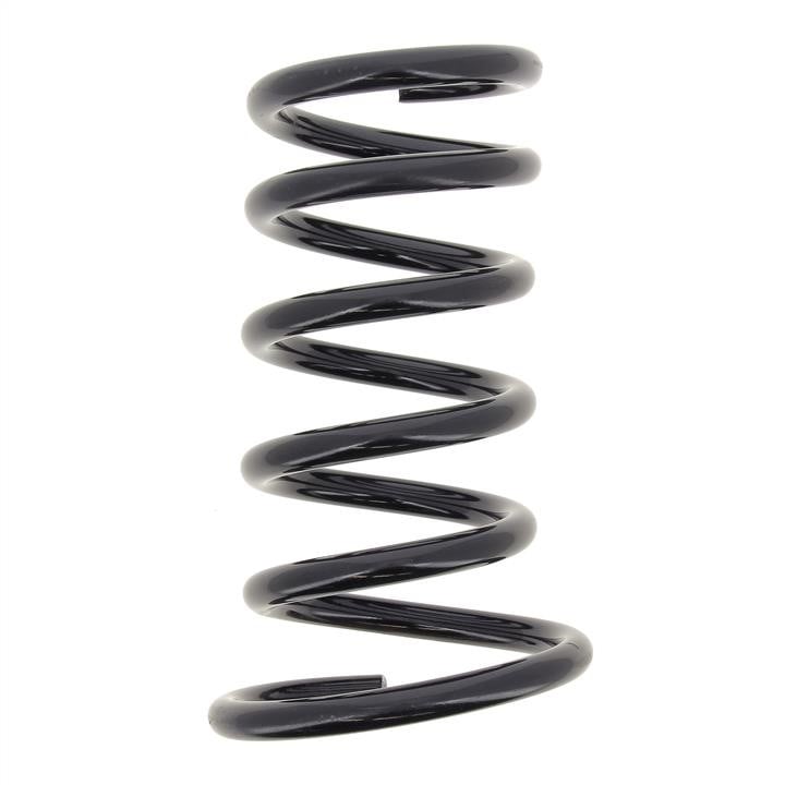 RG6799 KYB (Kayaba) Rear coil spring