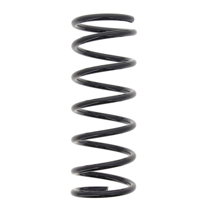 KYB (Kayaba) RA5281 Coil Spring RA5281: Buy near me in Poland at 2407.PL - Good price!