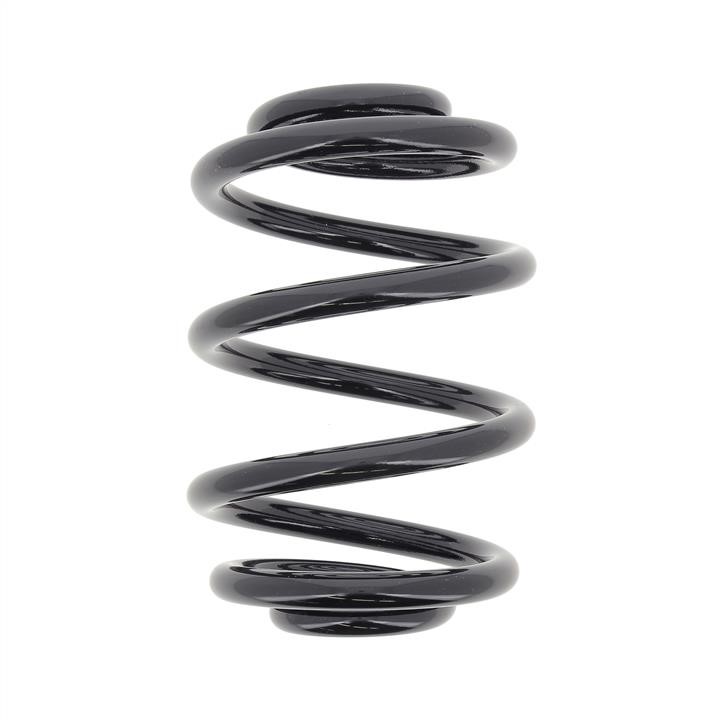 RX6751 KYB (Kayaba) Rear coil spring
