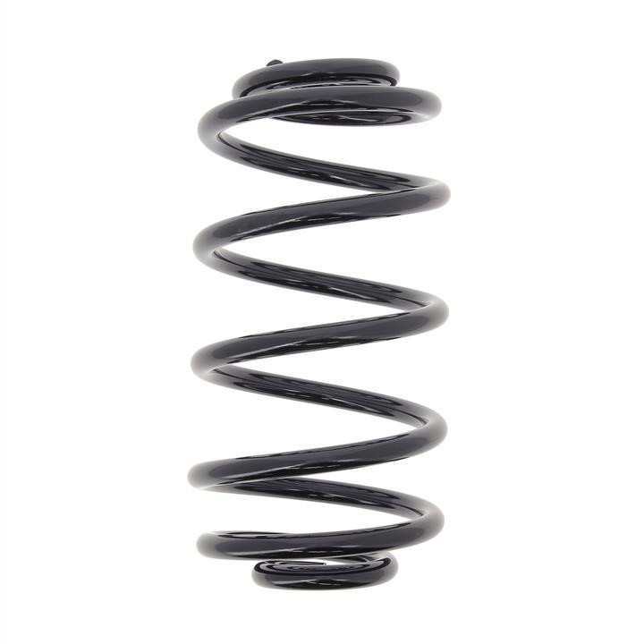 KYB (Kayaba) RH6399 Coil Spring RH6399: Buy near me at 2407.PL in Poland at an Affordable price!