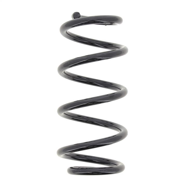 RA6245 KYB (Kayaba) Rear coil spring