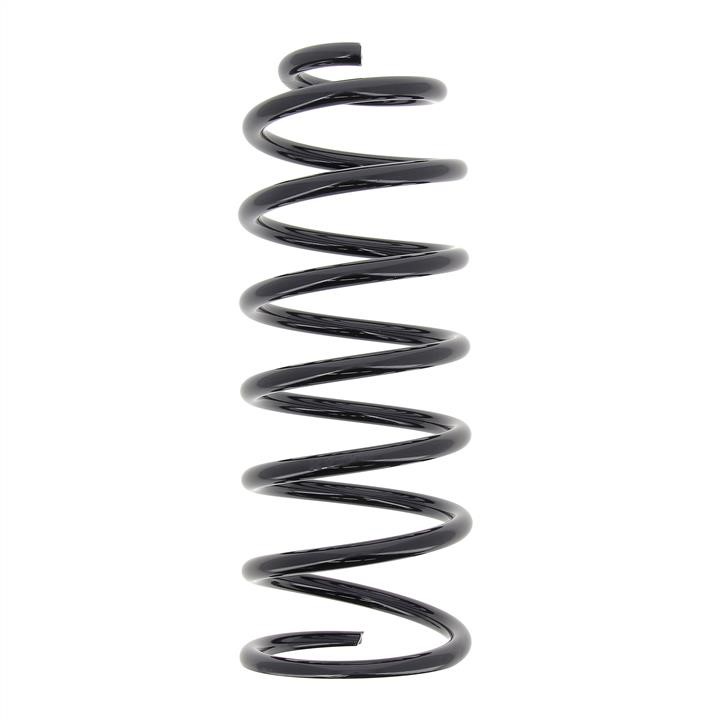 RF6048 KYB (Kayaba) Rear coil spring