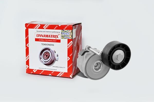 Dynamatrix DT32080 Bypass roller DT32080: Buy near me in Poland at 2407.PL - Good price!