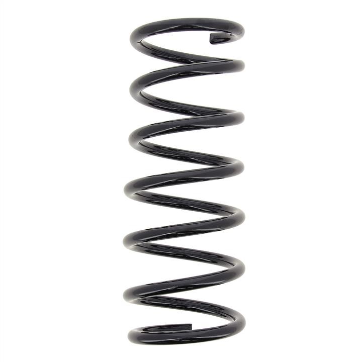 RA6273 KYB (Kayaba) Rear coil spring