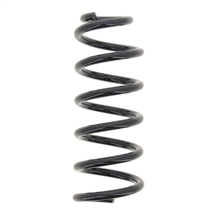 KYB (Kayaba) RC5924 Coil Spring RC5924: Buy near me at 2407.PL in Poland at an Affordable price!