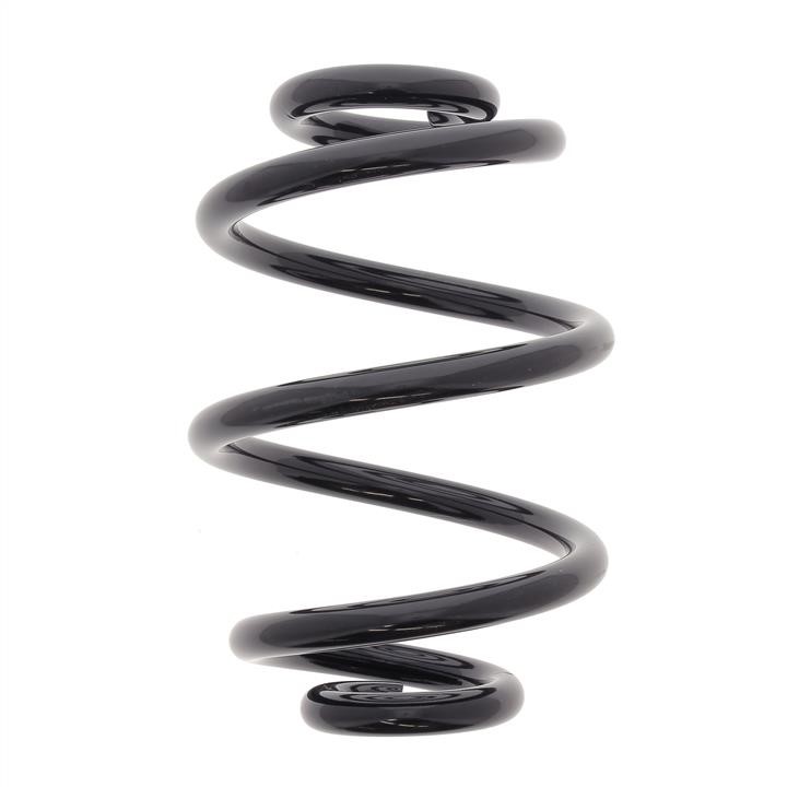 KYB (Kayaba) RX6200 Coil Spring RX6200: Buy near me at 2407.PL in Poland at an Affordable price!