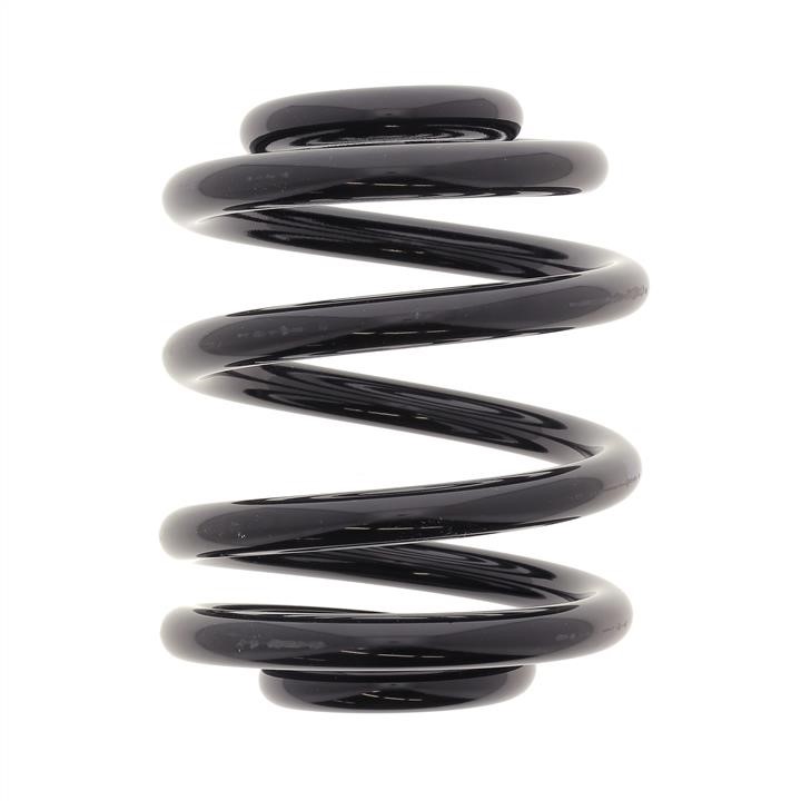 KYB (Kayaba) RX6631 Coil Spring RX6631: Buy near me in Poland at 2407.PL - Good price!