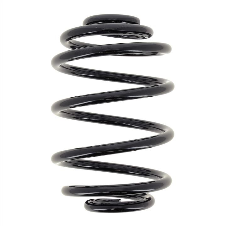 KYB (Kayaba) RX6234 Coil Spring RX6234: Buy near me in Poland at 2407.PL - Good price!