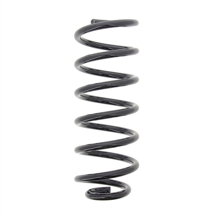 KYB (Kayaba) RC6733 Coil Spring RC6733: Buy near me at 2407.PL in Poland at an Affordable price!