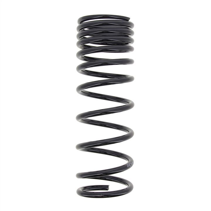 KYB (Kayaba) RD5502 Coil Spring RD5502: Buy near me in Poland at 2407.PL - Good price!