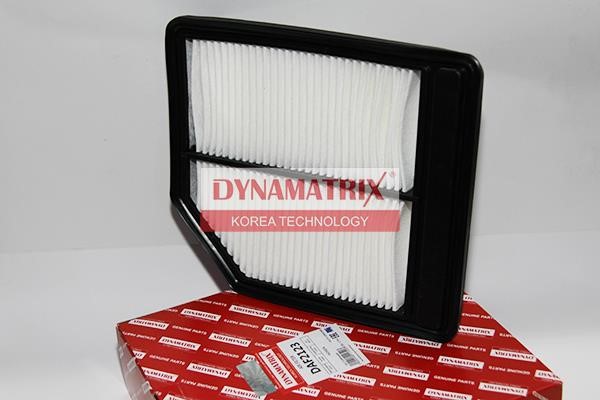 Dynamatrix DAF2123 Filter DAF2123: Buy near me in Poland at 2407.PL - Good price!