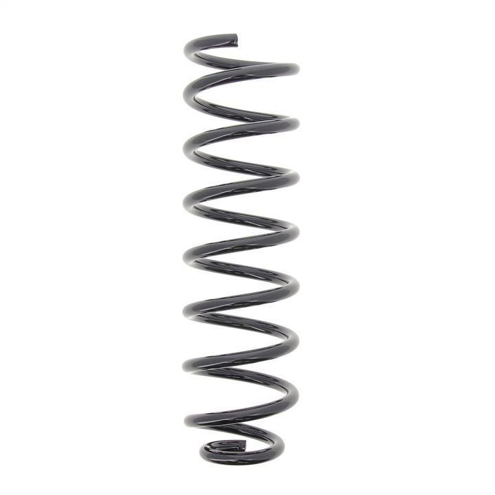 RG3160 KYB (Kayaba) Front coil spring