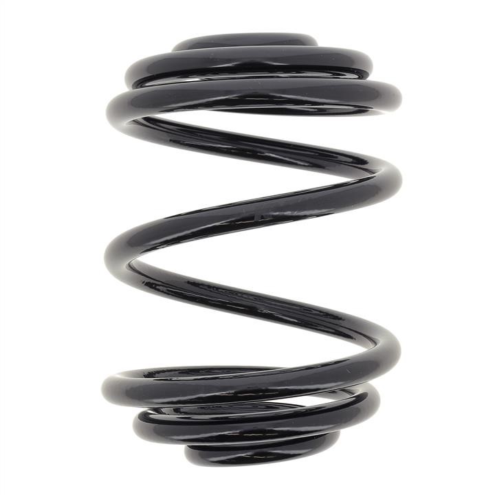 KYB (Kayaba) RX5028 Coil Spring RX5028: Buy near me in Poland at 2407.PL - Good price!