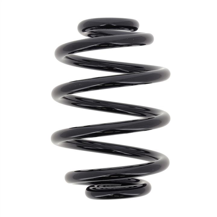 KYB (Kayaba) RX6197 Coil Spring RX6197: Buy near me in Poland at 2407.PL - Good price!
