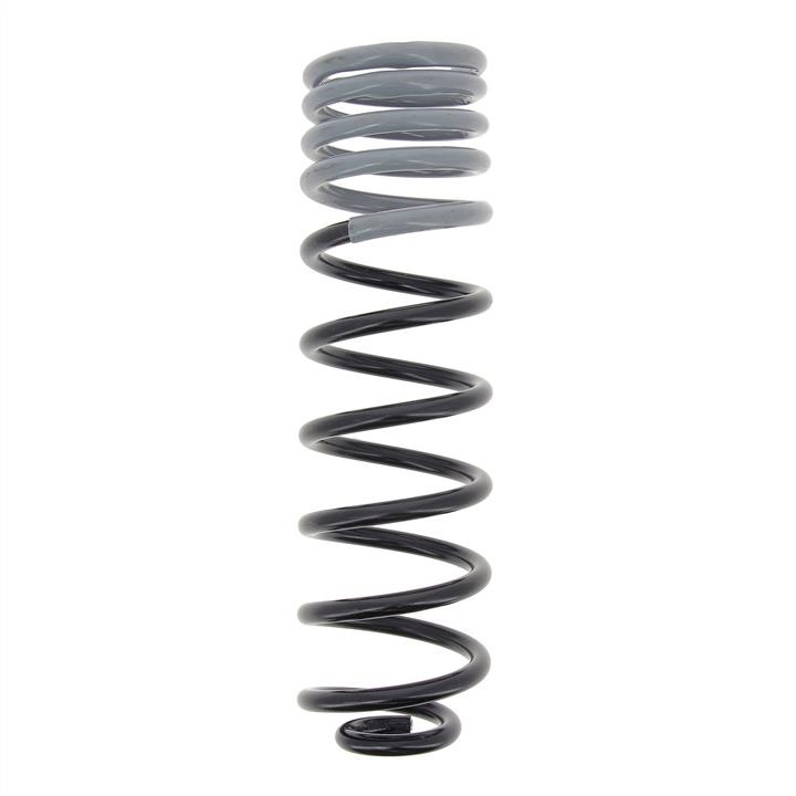 RC5164 KYB (Kayaba) Rear coil spring