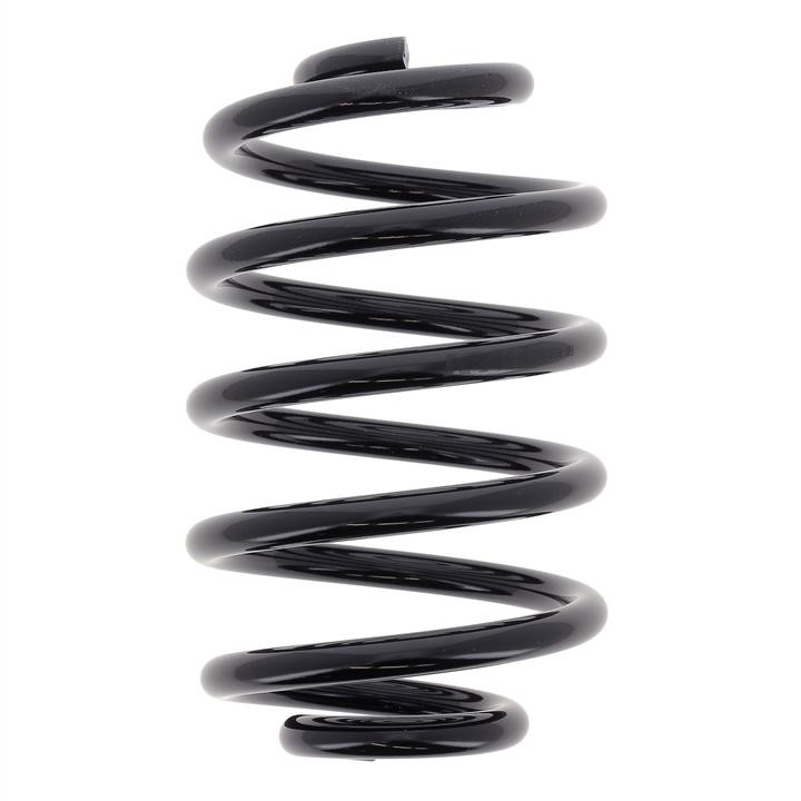 KYB (Kayaba) RX5209 Coil Spring RX5209: Buy near me in Poland at 2407.PL - Good price!