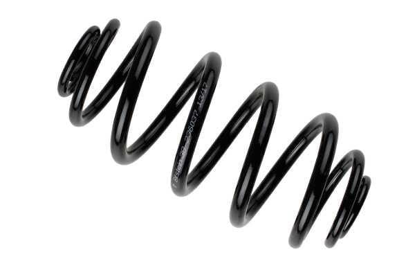 38236037 Bilstein Rear coil spring