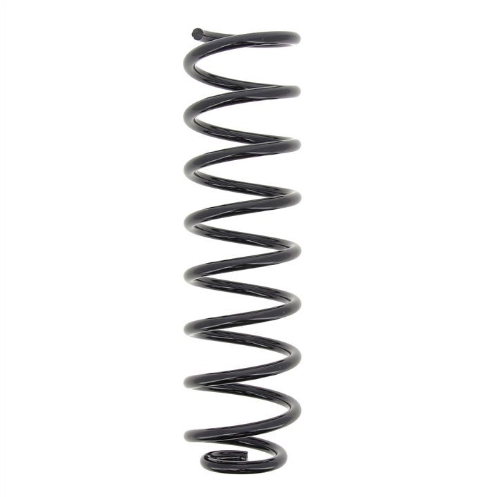 KYB (Kayaba) RG3156 Suspension spring front RG3156: Buy near me in Poland at 2407.PL - Good price!