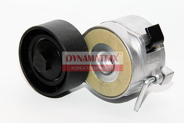 Dynamatrix DT33161 Bypass roller DT33161: Buy near me in Poland at 2407.PL - Good price!