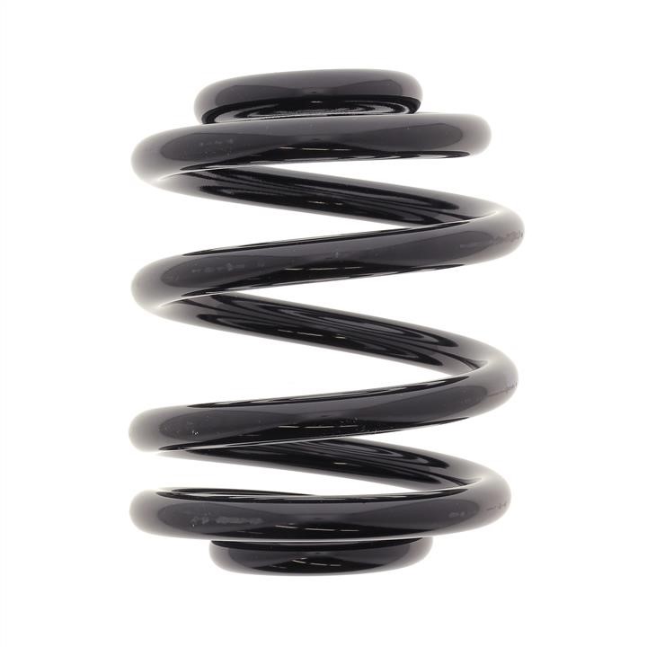 RX6631 KYB (Kayaba) Rear coil spring