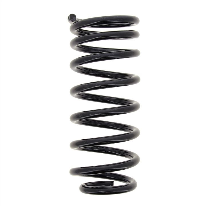 RC5831 KYB (Kayaba) Rear coil spring