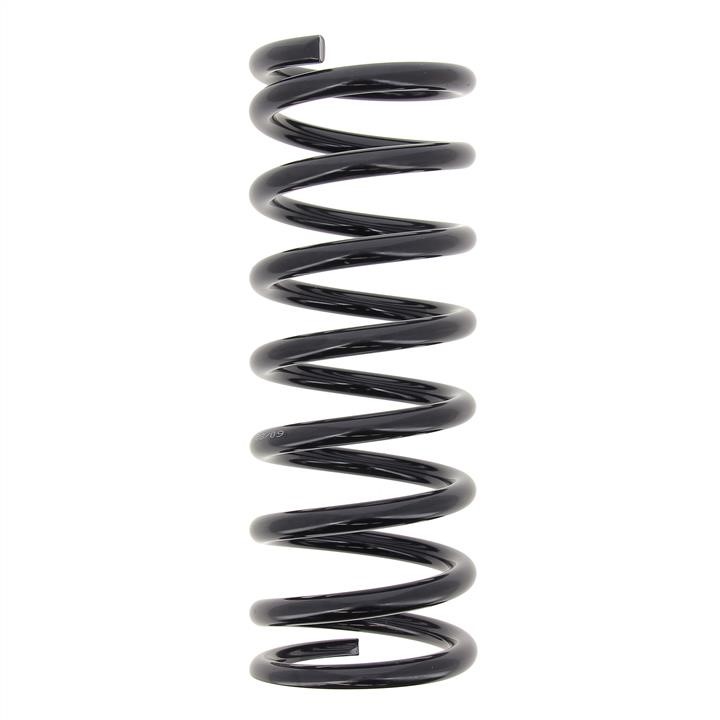 KYB (Kayaba) RD5081 Coil Spring RD5081: Buy near me in Poland at 2407.PL - Good price!