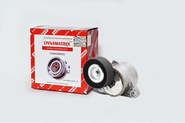 Dynamatrix DT60014 Bypass roller DT60014: Buy near me in Poland at 2407.PL - Good price!