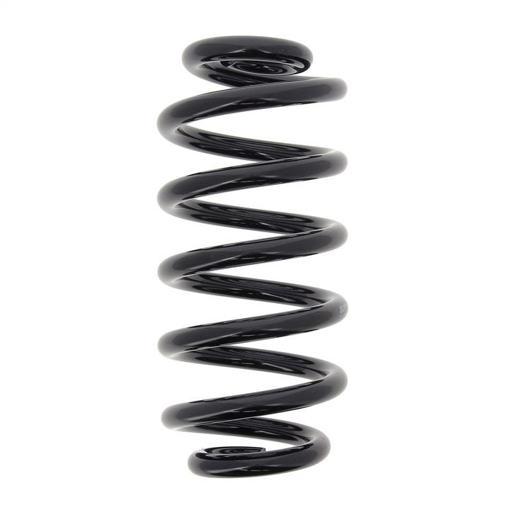 KYB (Kayaba) RH6747 Coil Spring RH6747: Buy near me in Poland at 2407.PL - Good price!