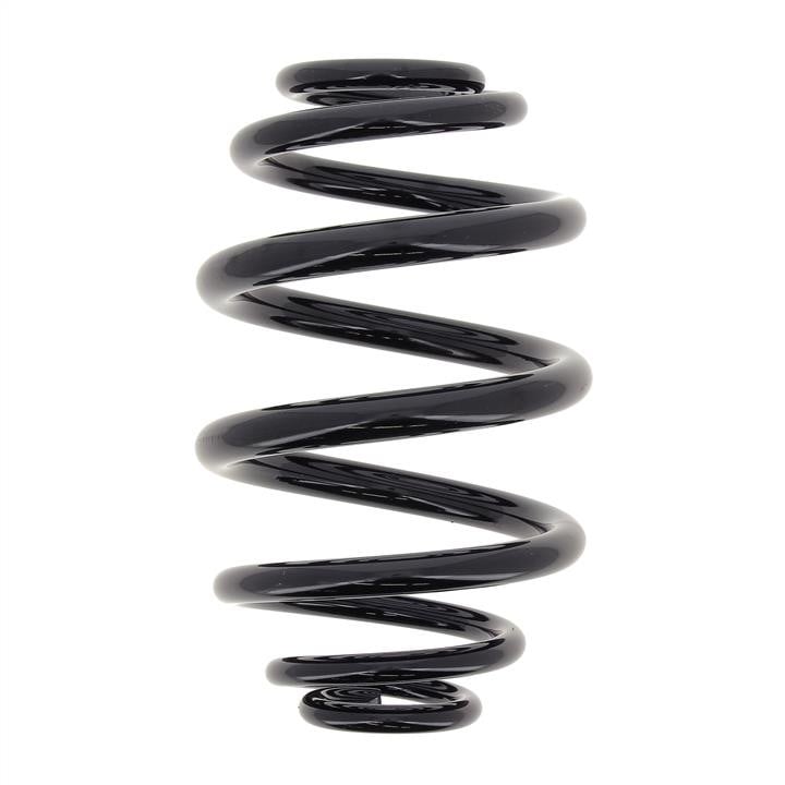 KYB (Kayaba) RJ5556 Coil Spring RJ5556: Buy near me at 2407.PL in Poland at an Affordable price!