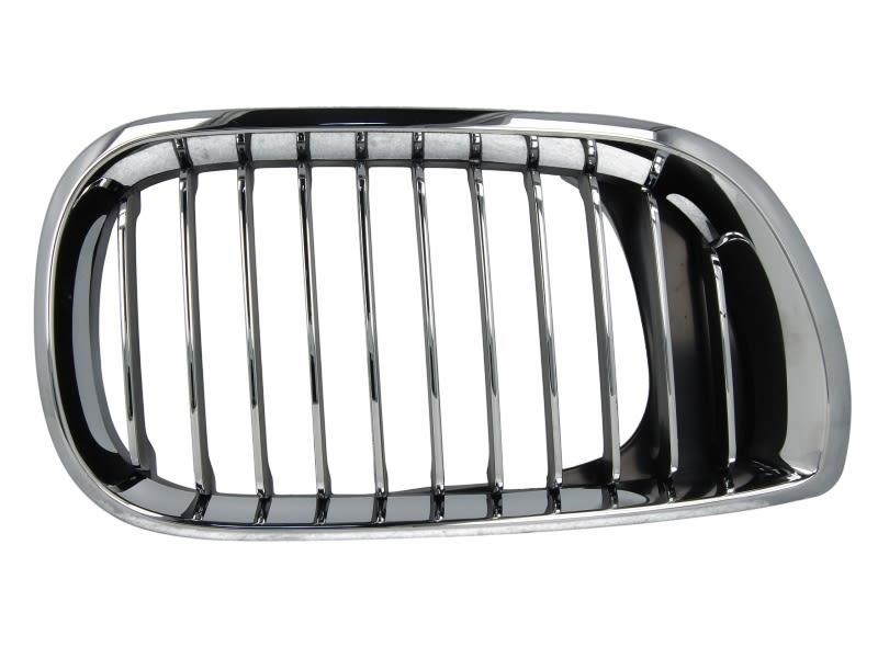 Grille radiator Blic 6502-07-0061992PP