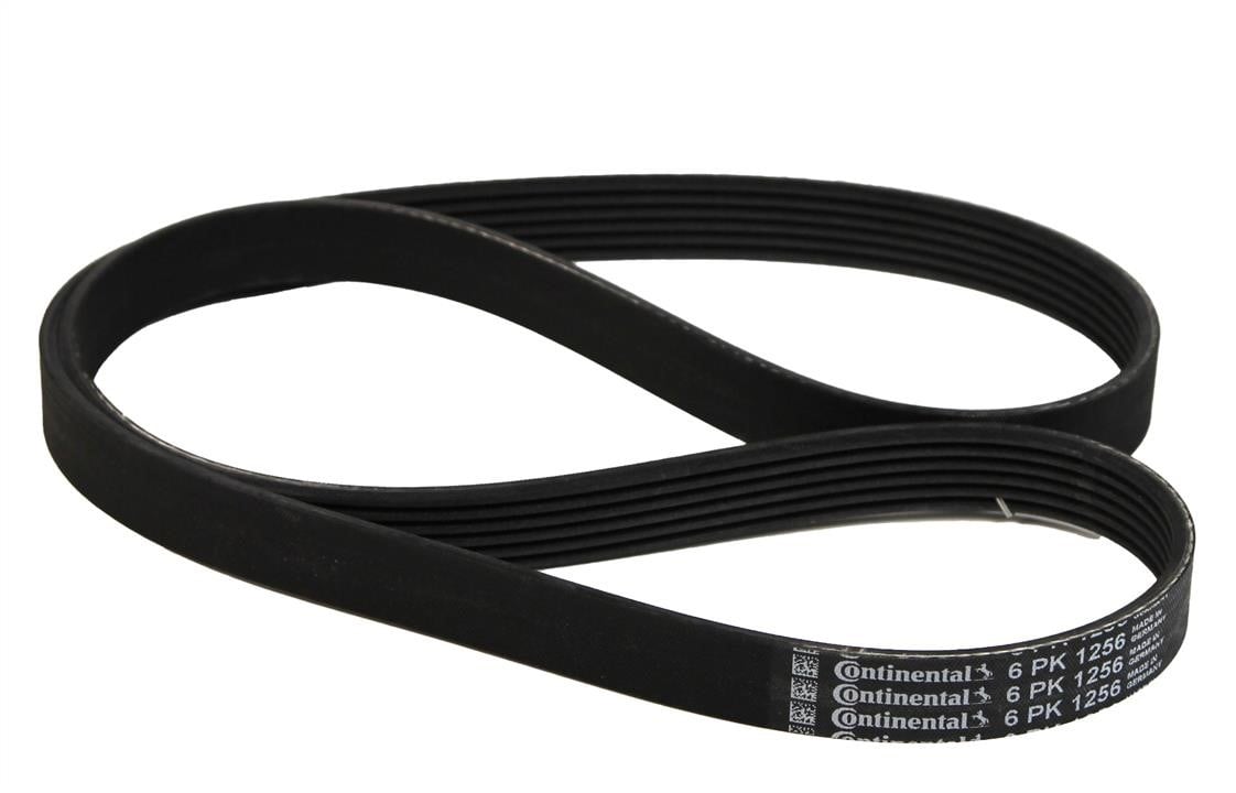 Contitech 6PK1256 V-ribbed belt 6PK1256 6PK1256: Buy near me in Poland at 2407.PL - Good price!