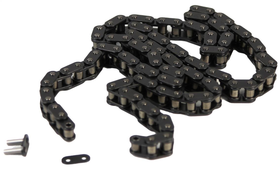 INA 553 0061 10 Timing chain 553006110: Buy near me in Poland at 2407.PL - Good price!