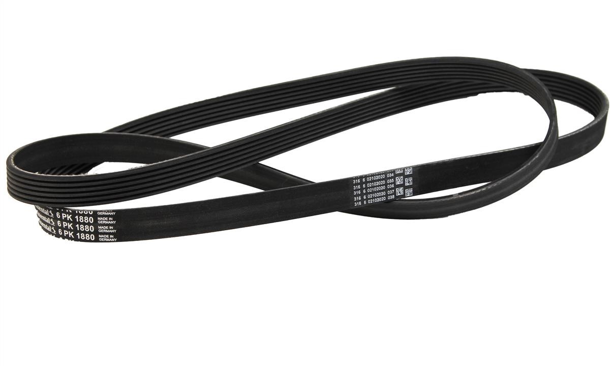 Contitech 6PK1880 V-ribbed belt 6PK1880 6PK1880: Buy near me in Poland at 2407.PL - Good price!
